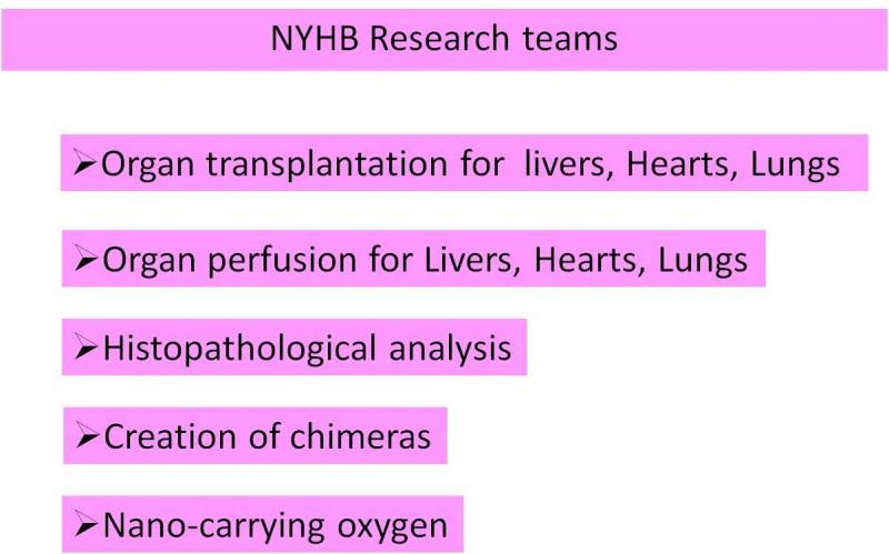 our teams